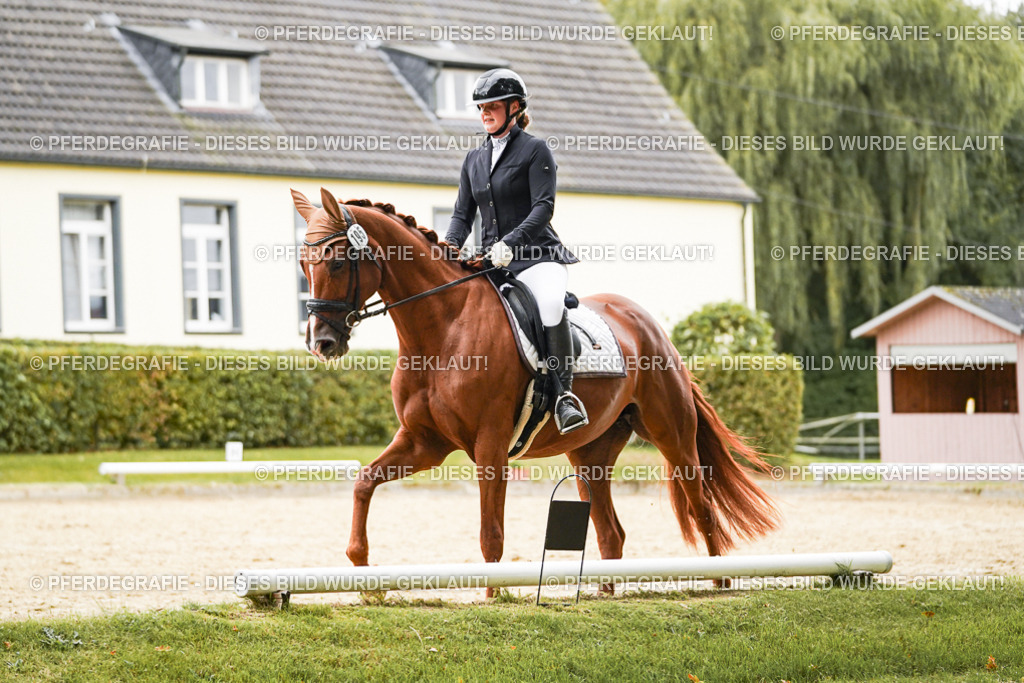 DSC08213 | Pferdegrafie