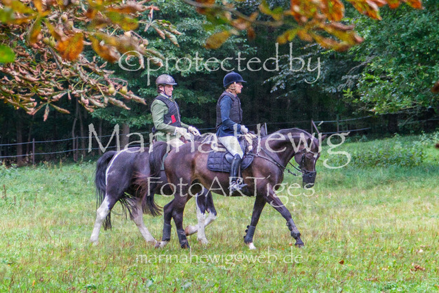 Jagd Perdoel_MarinaHewigDSCF3379 | Fotografie, FotoArt, PferdesportArt, Pferdesportfotografie, Landschaftsfotografie, Reisefotografie, Reise, Pferde - Realisiert mit Pictrs.com