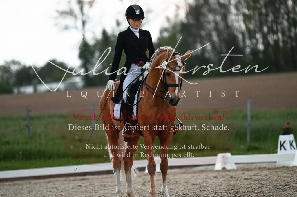 20230514_JK-Röhrsdorf-21-367 | Pferde- und Turnierfotografie in Westsachsen. Pferdeportraits, Auftragszeichnungen und intuitive Kunst.