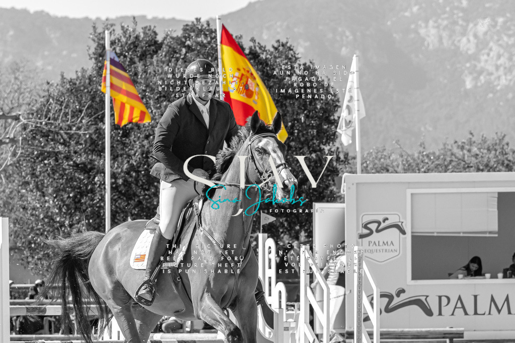 IMG_0640 | s-jay-photography - Realisiert mit Pictrs.com