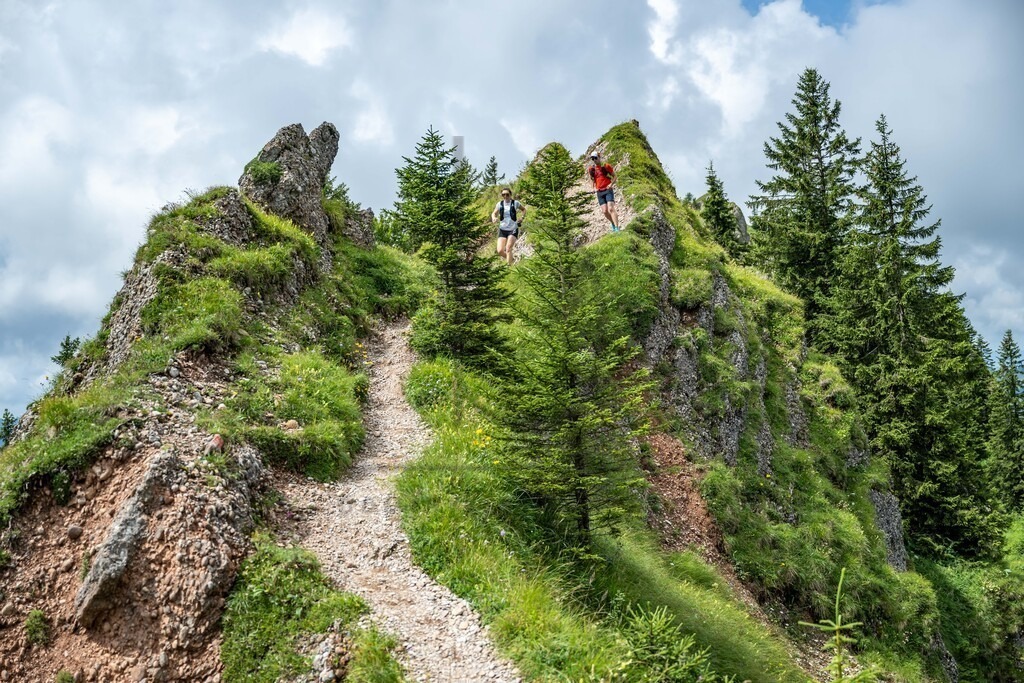 35. Gebirgsmarathon | 35. Gebirgsmarathon 2024 am 03.08.2024 in Immenstadt. Einer der anspruchsvollsten​und ältesten Bergläufe​Deutschlands im Naturpark Nagelfluhkette!(Foto: Dominik Berchtold/www.dberchtold.com)Instagram: @d_berchtold_foto 
