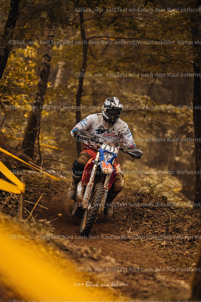 E68A5237 | blick_win_kel