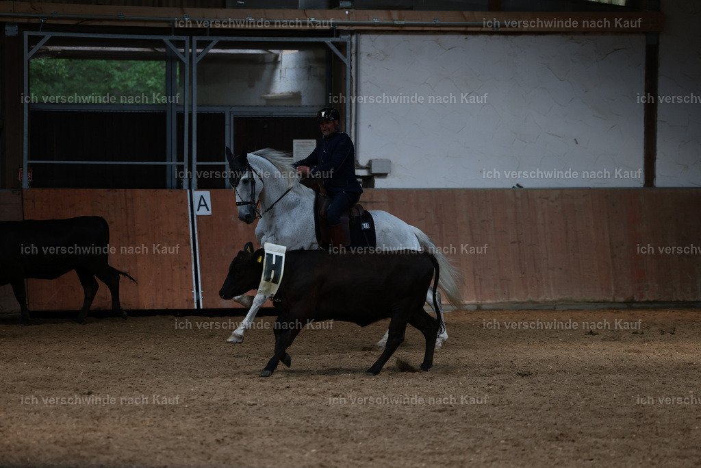 Masterclass_stoibphotography_C2_L7439.JPG | working equitationturnier fotograf videograf stoibphotography marixx film working equitation deutschland reitsport turnierfotografie eventfotografie equestrian events