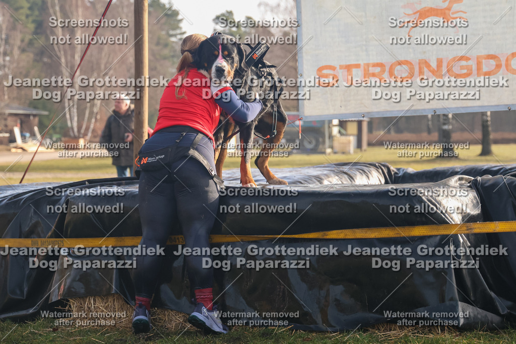Dog Paparazzi - SD North 0326 900930-289 | Dog Paparazzi Jeanette Grottendiek Fotografie & Videografie - Realisiert mit Pictrs.com