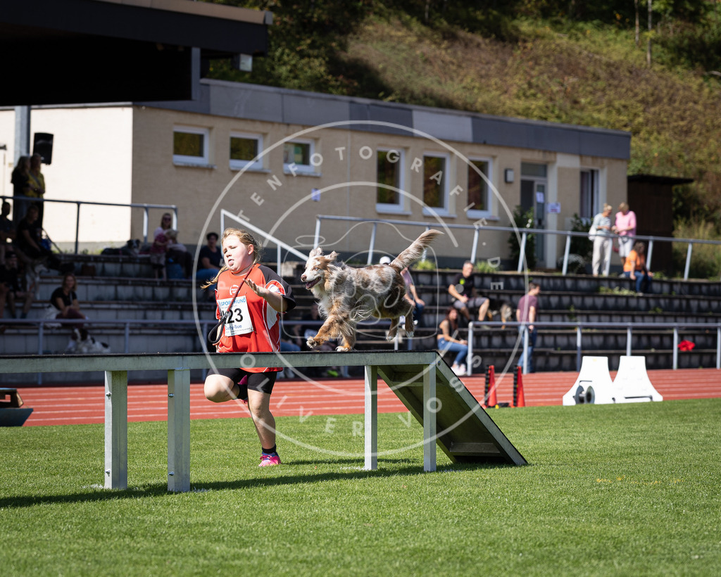 Pfotenfotografie_DV3A8558 | Hundefotografie, Tierfotograf, Pfotenfotografie, Fotoshooting Hund, Hunde Portrait, Hundesport, Hundeportraits, Heideshooting, Hunde, Sportfotograf, Hundefotograf, Turnierhundsport, THS,  - Realisiert mit Pictrs.com