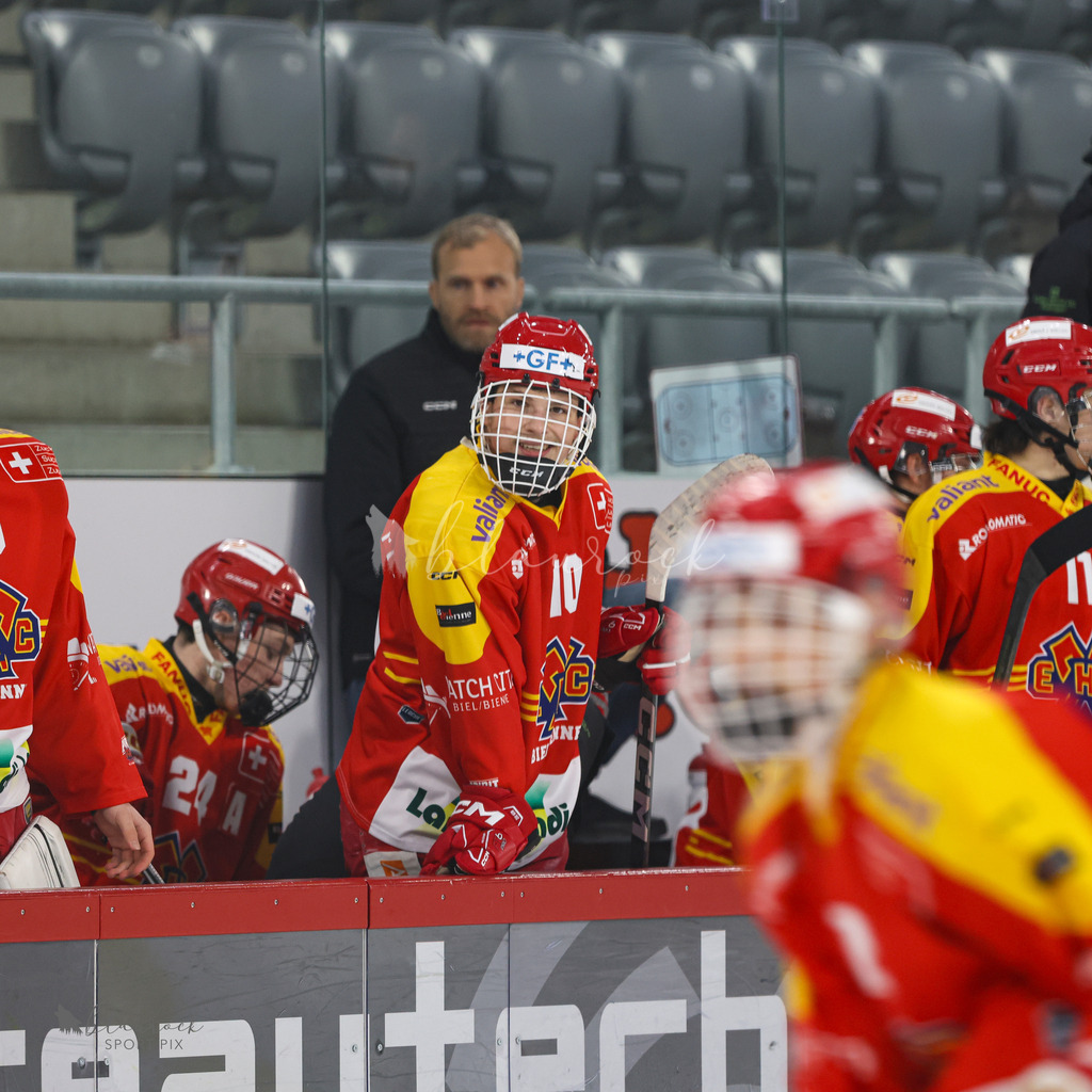 EHC Biel-Bienne vs SC Bern - 22. December 2024 | EHC Biel-Bienne vs SC BernTissot Arena, Biel-BienneBild: Waltraud Blaurock | Blaurock Pix