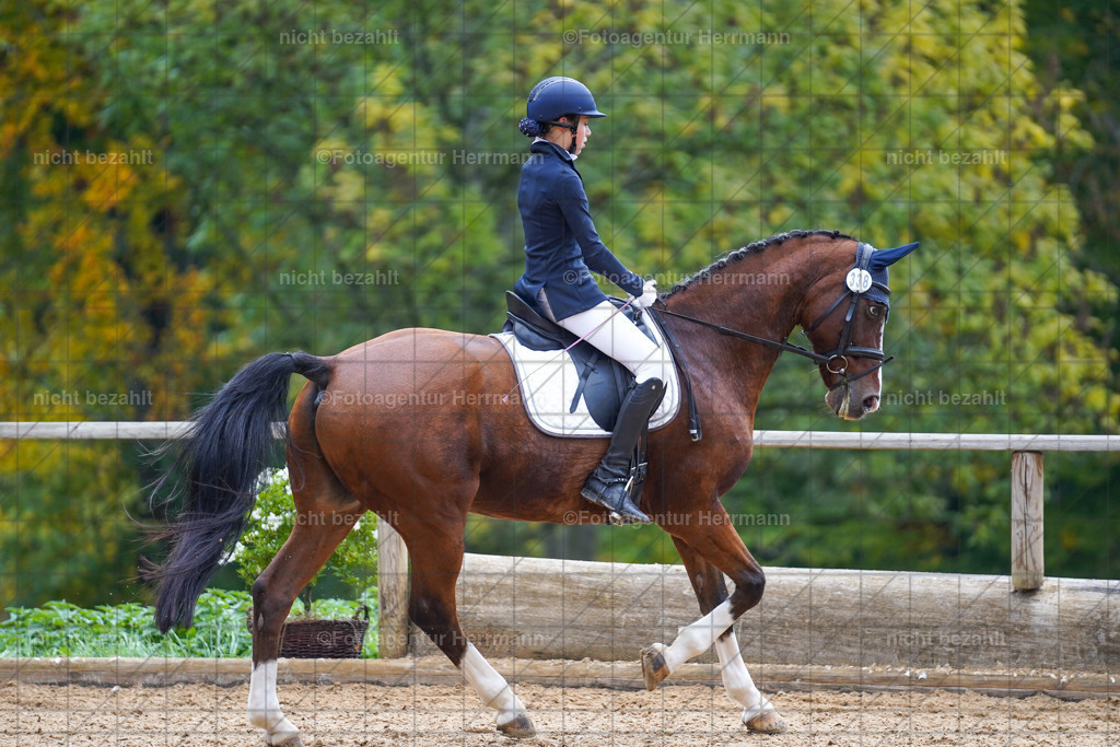 20221008-FAH00889 | Diessen am Ammersee, 2022, Dressur- und Springturnier, Reitsportbilder, Turnierfotografen Bayern, Pferdefotografen, Fotoagentur Herrmann, Turnierbilder