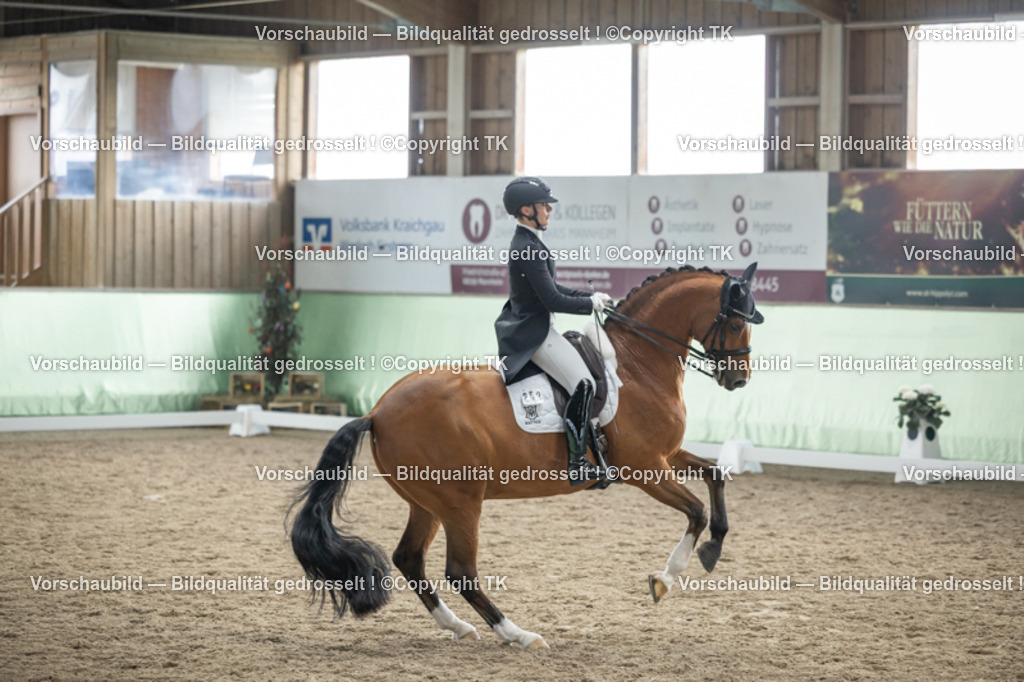 _D5A5962 | Emotionale Pferde- & People-Fotografie rund um Heidelberg, Leimen & Umgebung. Natürliche Fotos von Pferd, Mensch & Familie. Jetzt Termin sichern!