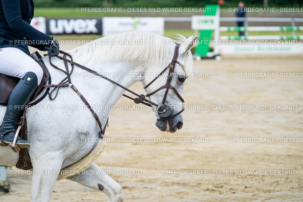 DSC03254 | Pferdegrafie