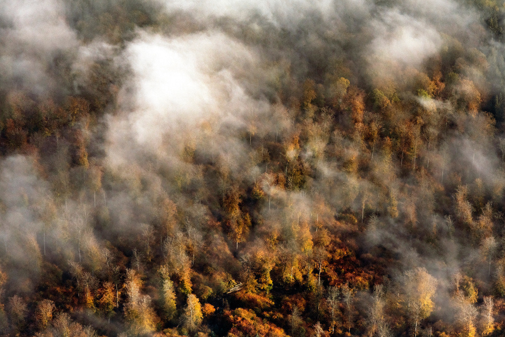 dr__0040353.jpg | HAINA (KLOSTER) 31.10.2019 Herbstliche verfärbte Vegetationsansicht Wetterlage mit Wolkenbildung über einem Wald in Bad Wildungen im Bundesland Hessen, Deutschland. // Autumnal discolored vegetation view weather conditions with cloud formation ueber einem Wald in Bad Wildungen in the state Hesse, Germany. Foto: Daniel Reiter