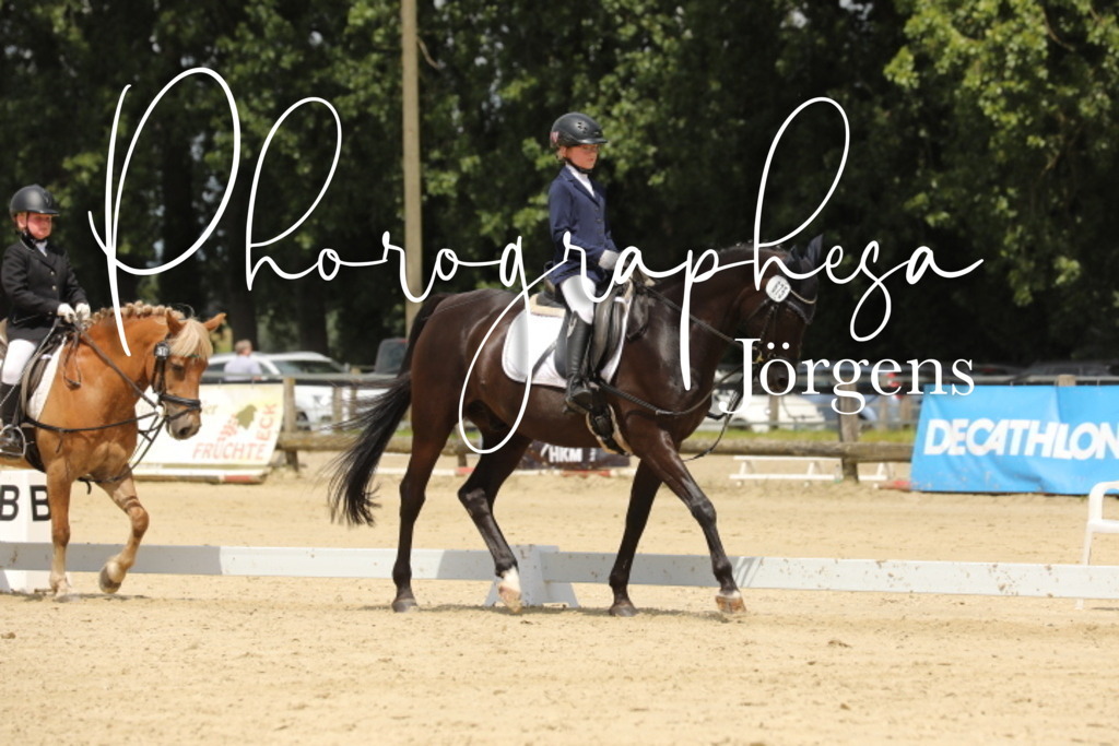 IMG_0160 | photographesa-joergens - Realisiert mit Pictrs.com