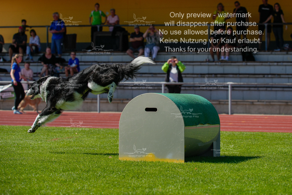 Sonntag_VK Hindernis (44 von 671) | stephaniefillaphotographie - Realisiert mit Pictrs.com