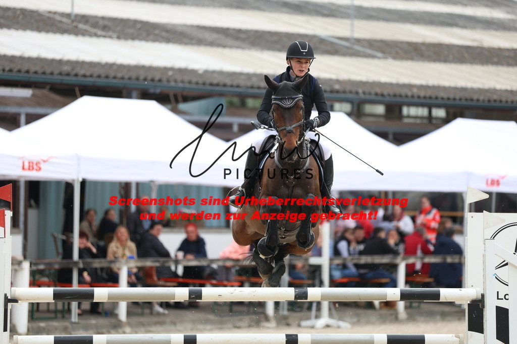 A40A4716 | lmwpictures - Realisiert mit Pictrs.com