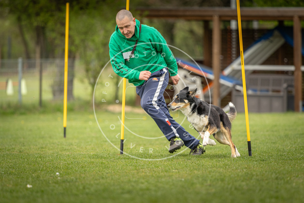 Pfotenfotografie_DV3A2146 | Hundefotografie, Tierfotograf, Pfotenfotografie, Fotoshooting Hund, Hunde Portrait, Hundesport, Hundeportraits, Heideshooting, Hunde, Sportfotograf, Hundefotograf, Turnierhundsport, THS,  - Realisiert mit Pictrs.com