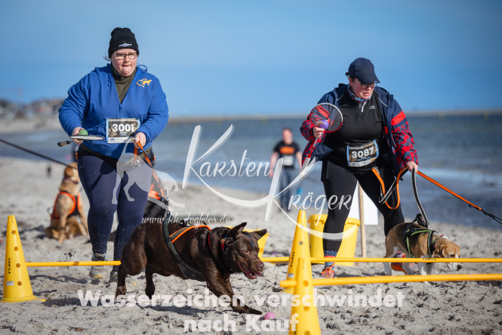 1331_ZZ91663 | kk-dogfotos