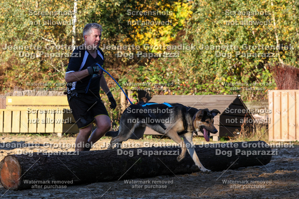 Dog Paparazzi - Strongdog 10-25-995 | Dog Paparazzi Jeanette Grottendiek Fotografie & Videografie - Realisiert mit Pictrs.com