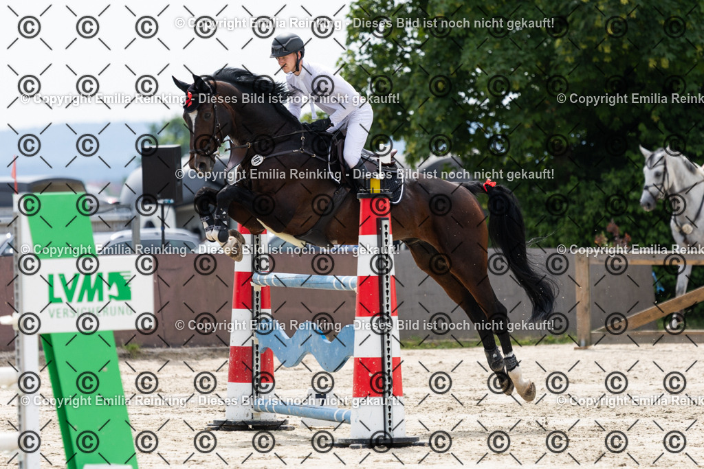 CL5A3972 | Emilia Reinking Fotografie - Realisiert mit Pictrs.com