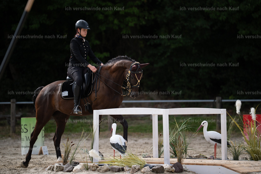WL_ST_25_stoibphotography__SO10386 | working equitationturnier fotograf videograf stoibphotography marixx film working equitation deutschland reitsport turnierfotografie eventfotografie equestrian events