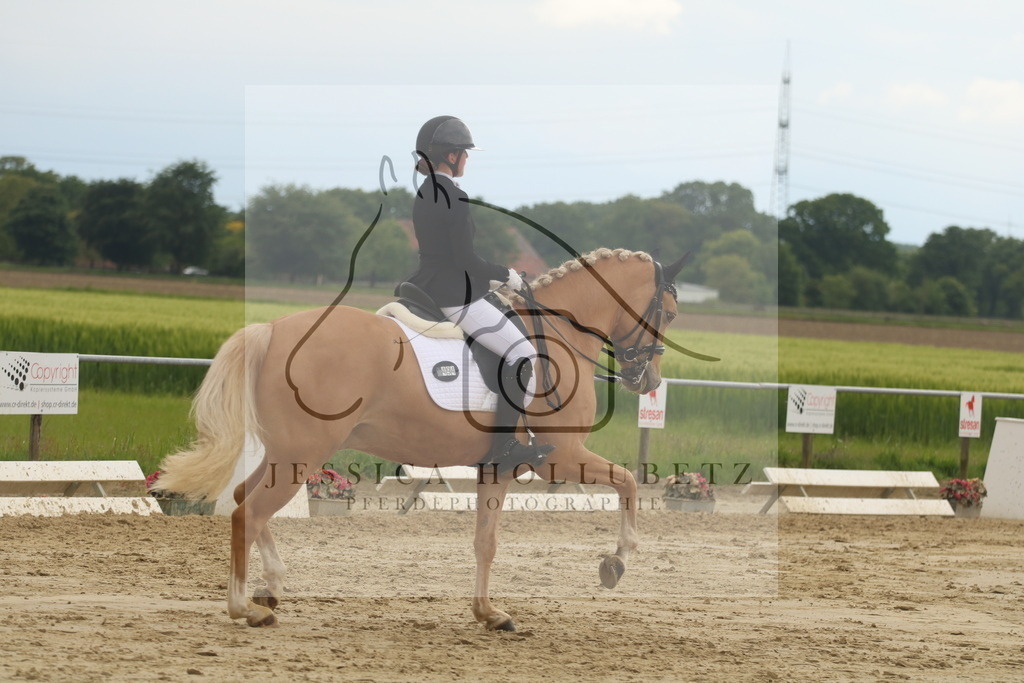 IMG_7838 | jessicahollubetz_pferdephotographie - Realisiert mit Pictrs.com