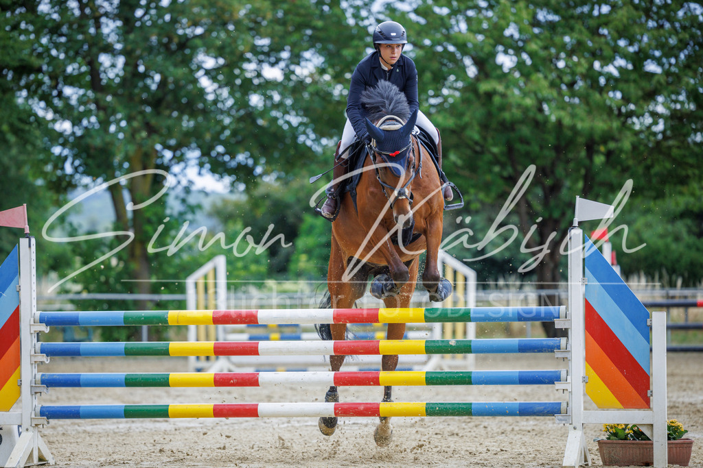 20260705-_3LI5945 | Tierfotografie Pferde, Hunde, Katzen, Haustiere.
Turnierfotografie Reitturniere, Reiten, Springreiten, Dressur in Hanau, dem Main-Kinzig-Kreis und dem Rhein-Main- Gebiet um Frankfurt