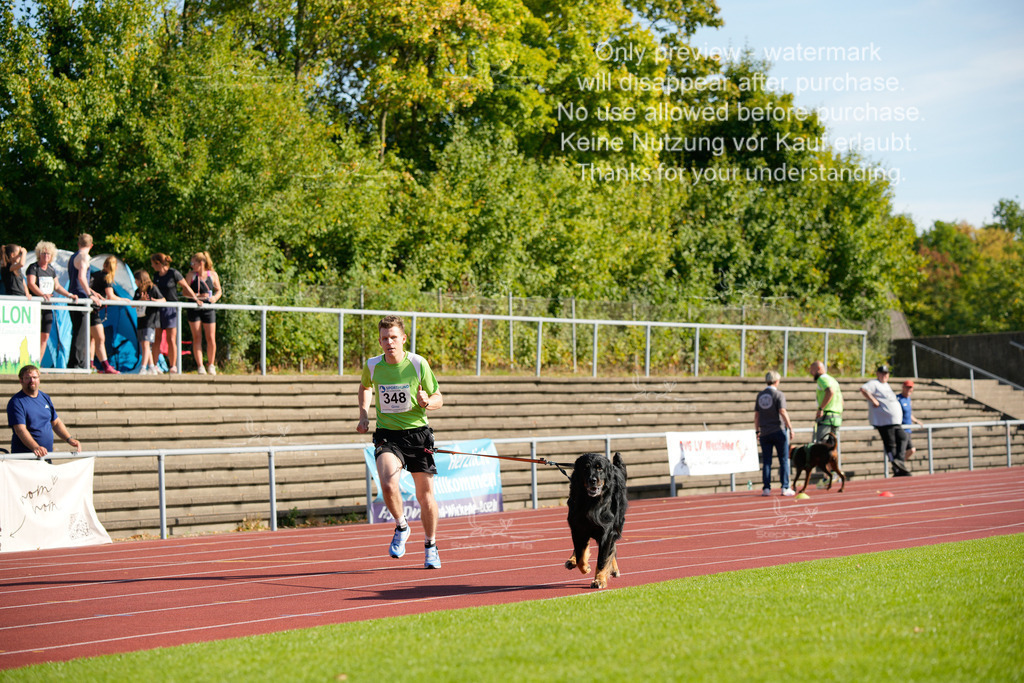 Sonntag_Staffel (104 von 336) | stephaniefillaphotographie - Realisiert mit Pictrs.com