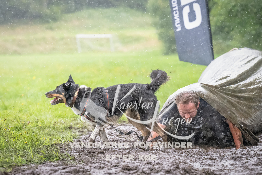 0934_ZZ91346-Bearbeitet | kk-dogfotos
