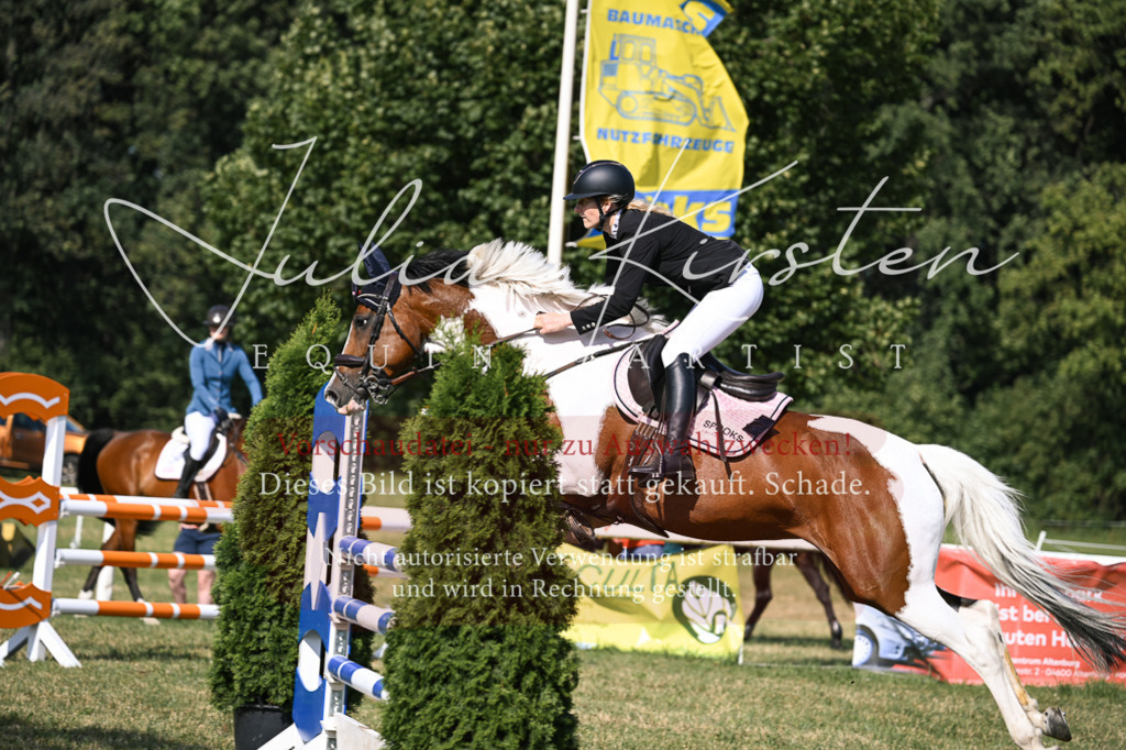 DSC_1116 | Pferde- und Turnierfotografie in Westsachsen. Pferdeportraits, Auftragszeichnungen und intuitive Kunst.