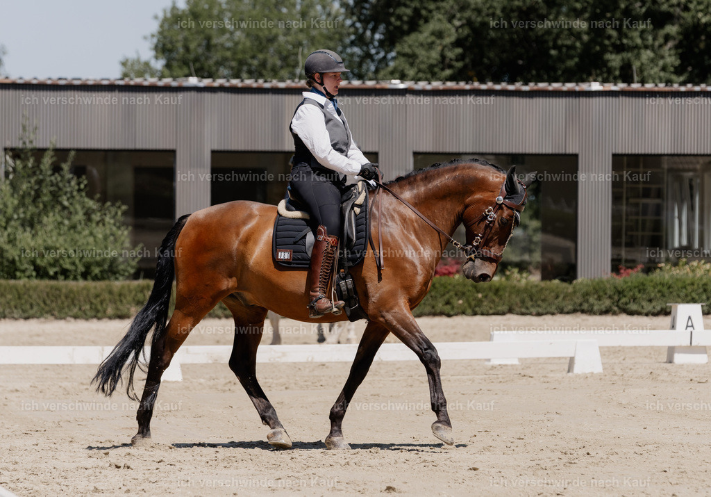 WE_DR_80_SinaFilmArt_IN03412 | working equitationturnier fotograf videograf stoibphotography marixx film working equitation deutschland reitsport turnierfotografie eventfotografie equestrian events