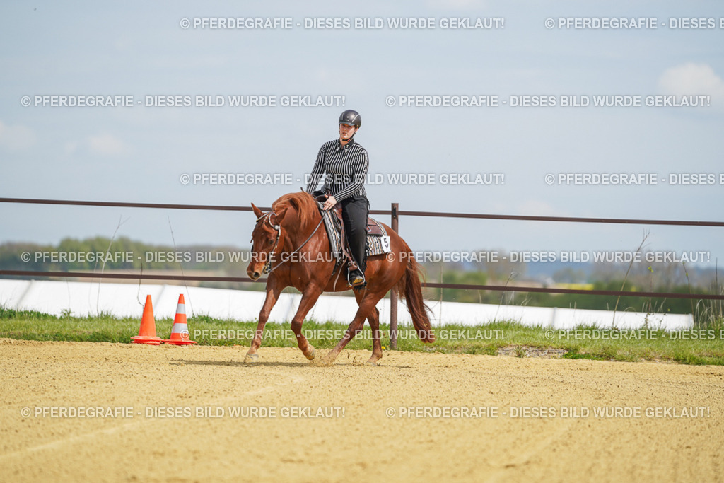 DSC05590 | Pferdegrafie