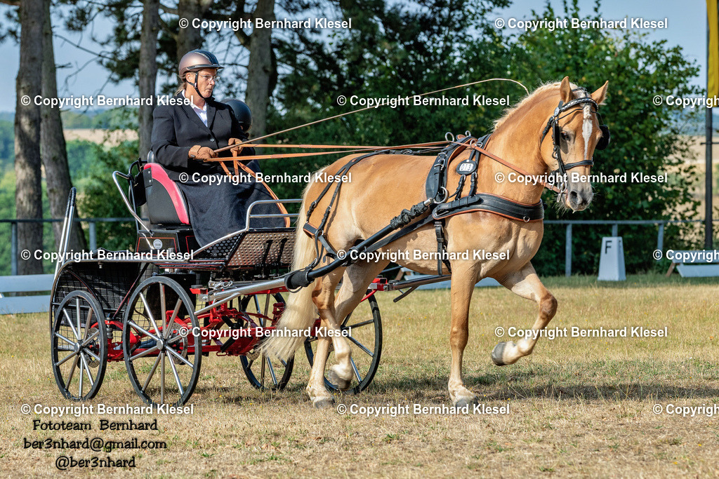 A1B06798 | foto-team-bernhard - Realisiert mit Pictrs.com