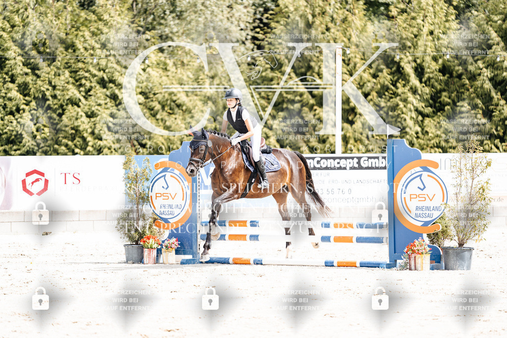 CK906332 | Turnierfotografie Pferdefotografie Trier Rheinland-Pfalz Pferdesport Reitsport Tierfotografie Sportfotografie Pferdevideo Pferdevideografie Equestrianvideography equestrianphotography  - Realisiert mit Pictrs.com
