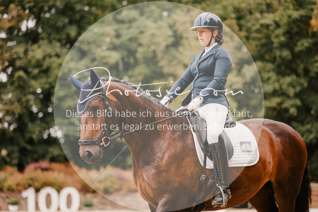 3I6A5951 | Stimmungsvolle Portraits und Reitsportfotografie im Ruhrgebiet und im Münsterland.

Pferdefotografie, Hundefotografie, Tierfotografie, Reportagen, Portraits von Tier und Mensch, Turnierfotografie in Bochum, Recklinghausen, Marl, Haltern am See, Dülmen.. - Realisiert mit Pictrs.com