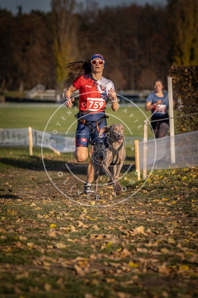 CaniXpix_DV3A2611 | Hundefotografie, Tierfotograf, Pfotenfotografie, Fotoshooting Hund, Hunde Portrait, Hundesport, Hundeportraits, Heideshooting, Hunde, Sportfotograf, Hundefotograf, Turnierhundsport, THS,  - Realisiert mit Pictrs.com