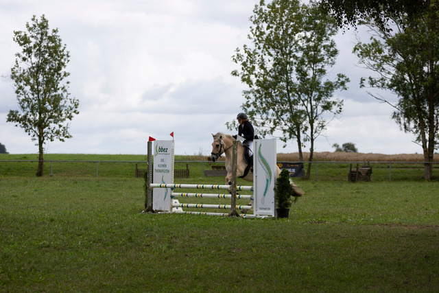 IMG_8999 | normansfotografie - Realisiert mit Pictrs.com