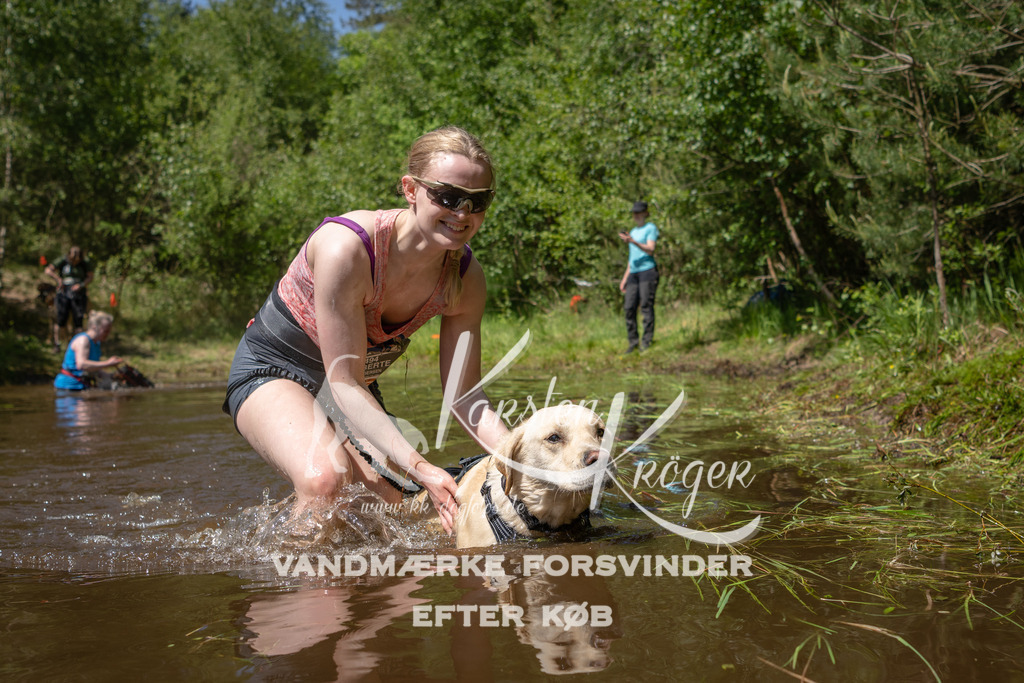 DK K991288141414 | kk-dogfotos