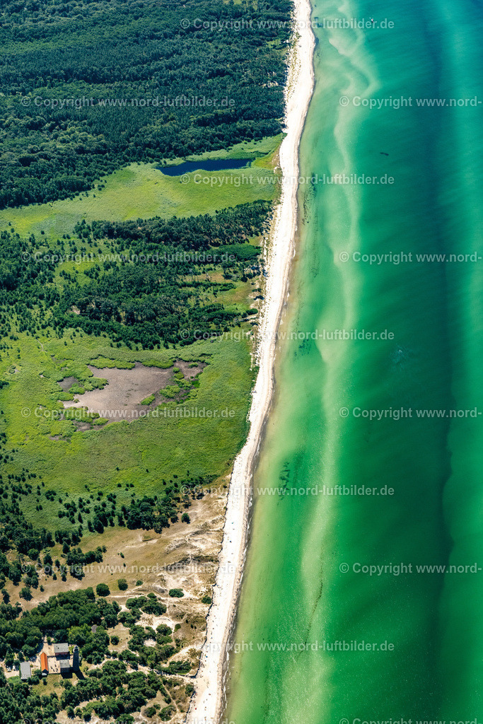 Darss_Leuchtturm_ELS_8546100822 | BORN AM DARß 10.08.2022 Küsten- Landschaft am Sandstrand " Am Darß " in Born am Darß an der Ostseeküste im Bundesland Mecklenburg-Vorpommern, Deutschland. // Coastline on the sandy beach " Am Darss " in Born am Darss at the baltic sea coast in the state Mecklenburg - Western Pomerania, Germany. Foto: Martin Elsen