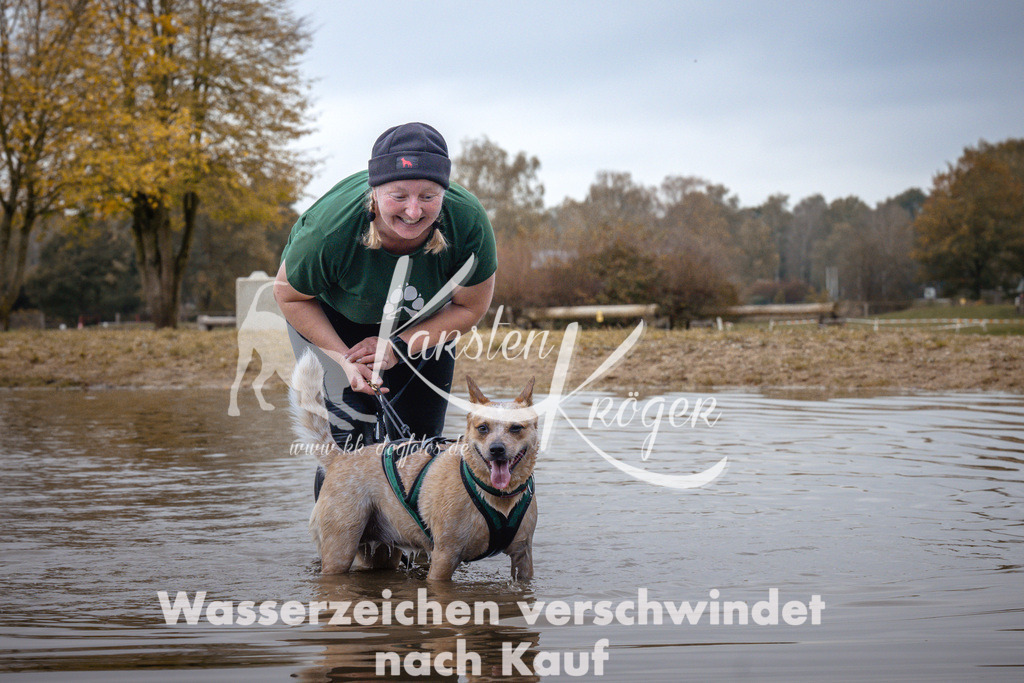 1331_ZZ94248 | kk-dogfotos