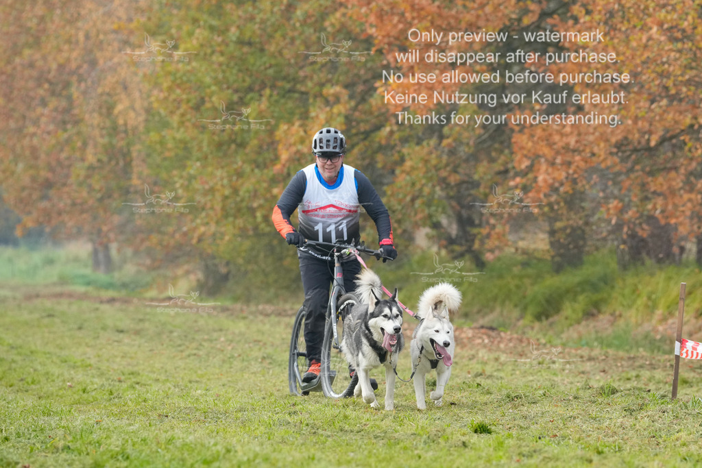 Visbeck_Sa_DS2DR2-134 | stephaniefillaphotographie - Realisiert mit Pictrs.com