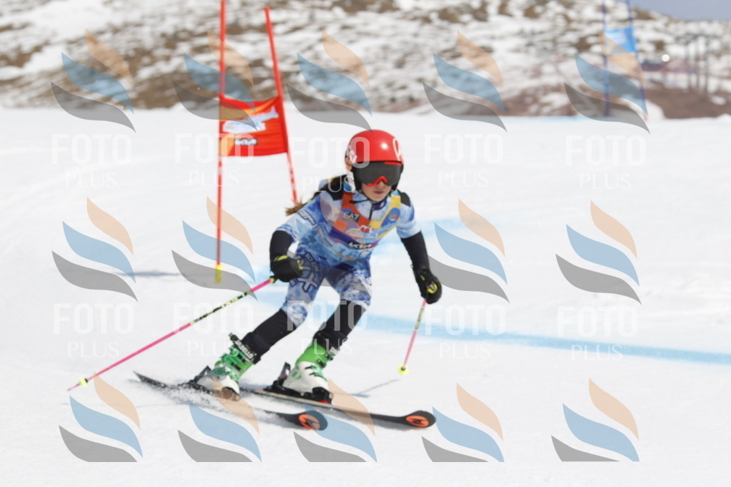 _U3G1734 | holidayphoto