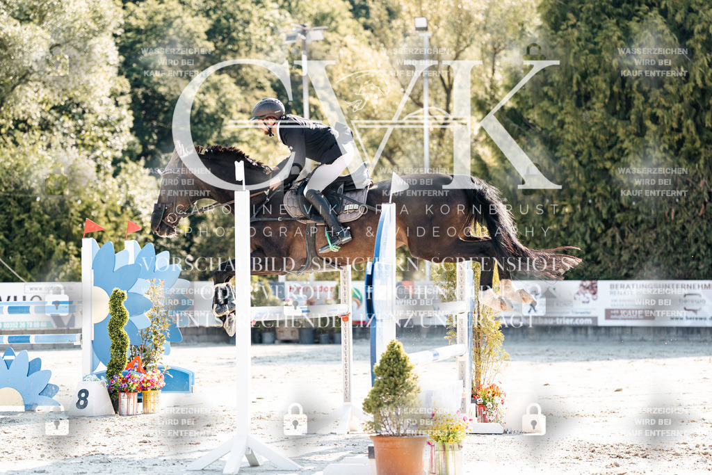 CK901920 | Turnierfotografie Pferdefotografie Trier Rheinland-Pfalz Pferdesport Reitsport Tierfotografie Sportfotografie Pferdevideo Pferdevideografie Equestrianvideography equestrianphotography  - Realisiert mit Pictrs.com