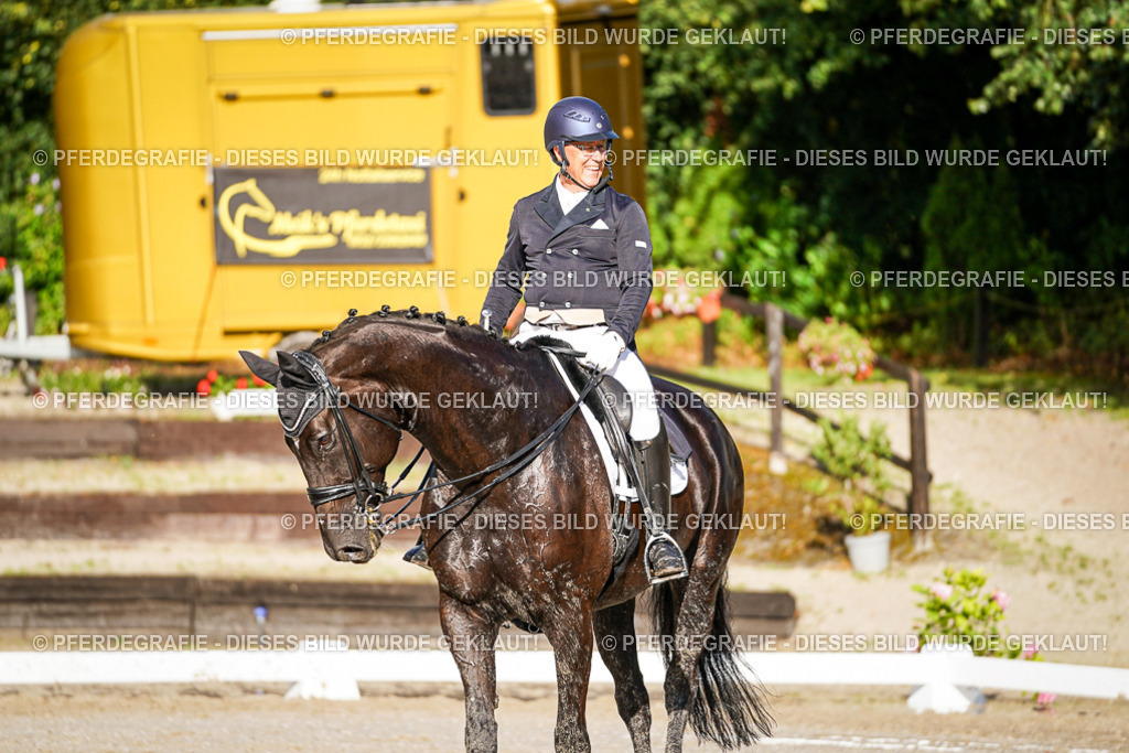 DSC00591 | Pferdegrafie