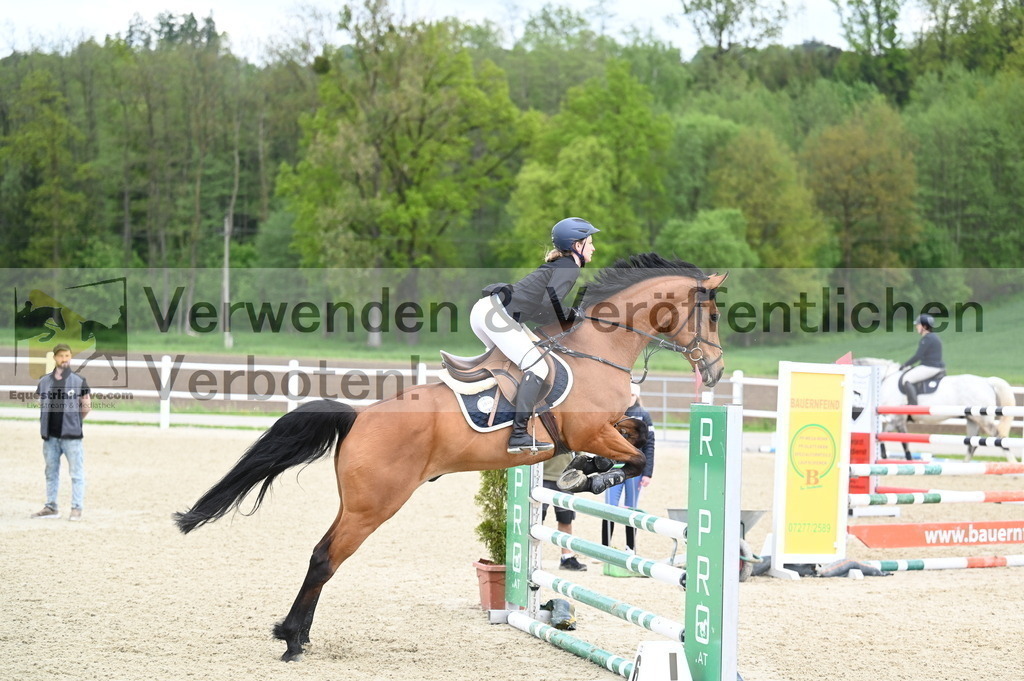 DSC_0692 | equestrian-live-com