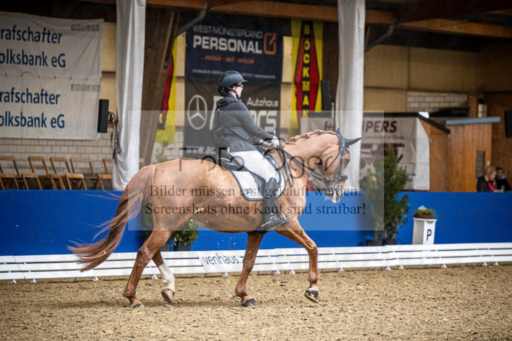 DOS_3737 | Entdecke hochwertige Reitturnierfotos von Foto Oger. Professionell, emotional und authentisch – jetzt Lieblingsmomente im Shop bestellen.Deutschlandweite Turnierfotografie. - Realisiert mit Pictrs.com