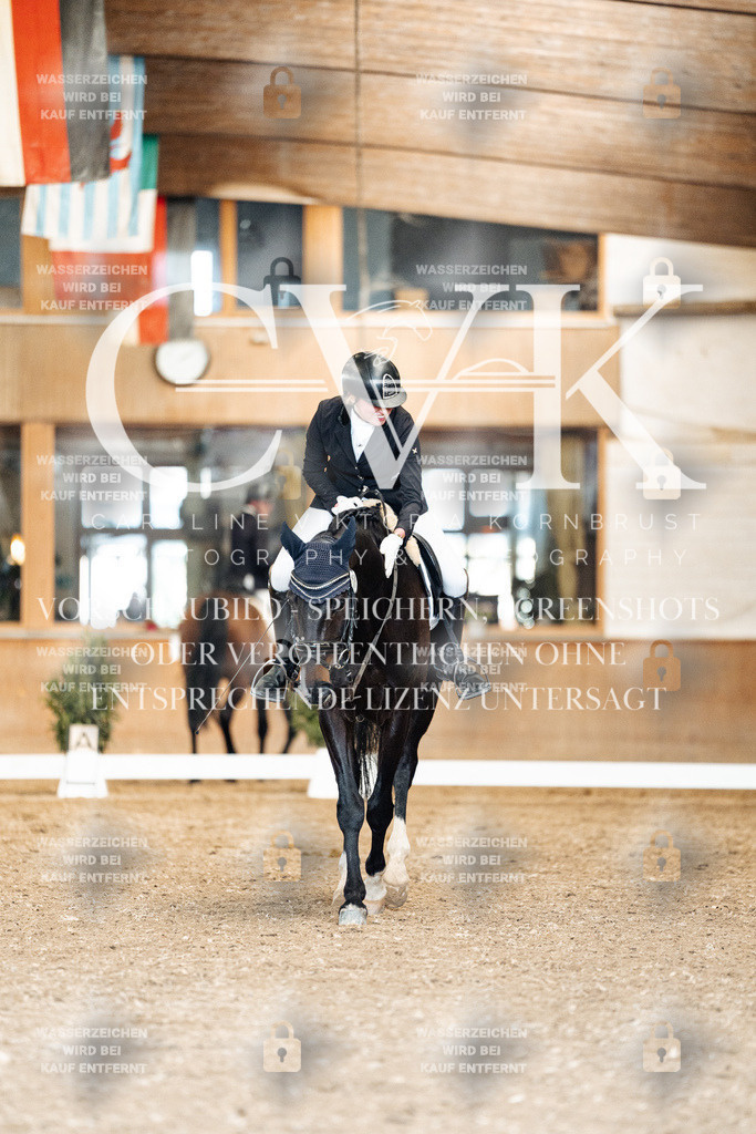 CK901230 | Turnierfotografie Pferdefotografie Trier Rheinland-Pfalz Pferdesport Reitsport Tierfotografie Sportfotografie Pferdevideo Pferdevideografie Equestrianvideography equestrianphotography  - Realisiert mit Pictrs.com