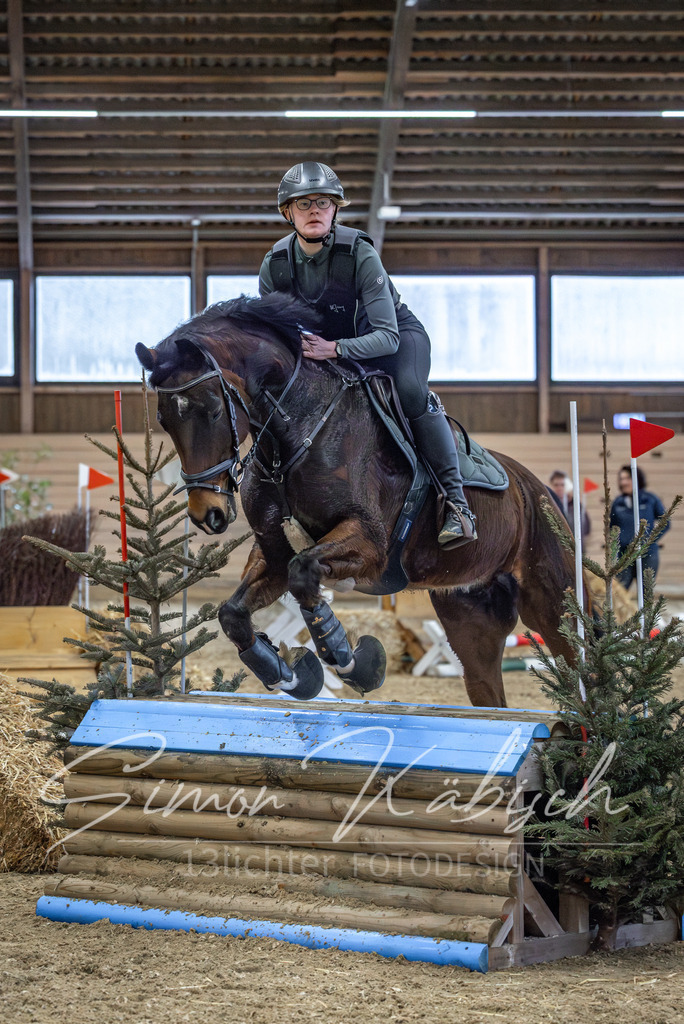 20260222-_3LI1642 | Tierfotografie Pferde, Hunde, Katzen, Haustiere.
Turnierfotografie Reitturniere, Reiten, Springreiten, Dressur in Hanau, dem Main-Kinzig-Kreis und dem Rhein-Main- Gebiet um Frankfurt
