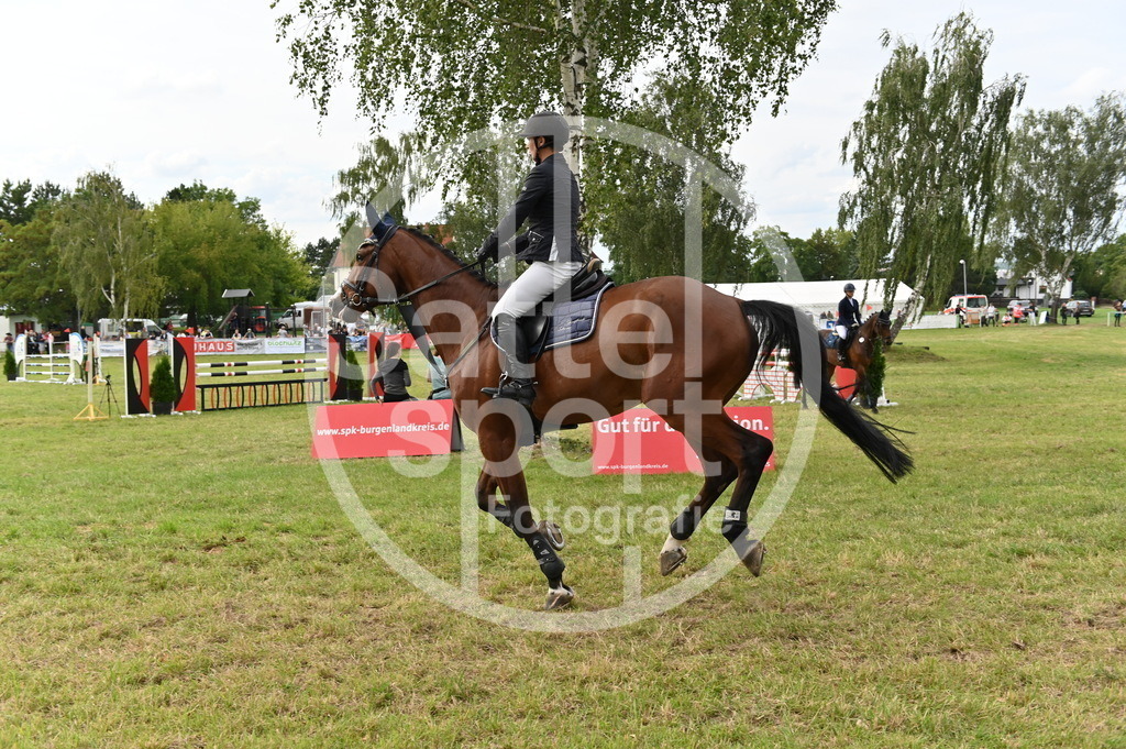 DSC_3766 | sattelsport - Realisiert mit Pictrs.com