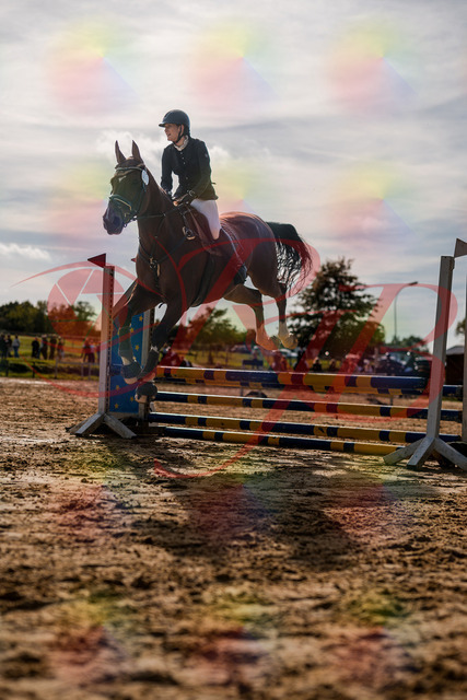 2026_10_03_Siefer-Hof_155552_Z63_10602426 | Professionelle Reitsport-, Turnier- und Eventfotografie von Robert Broda. Galerien mit ausgewählten und bearbeiteten Bildern direkt online ansehen und bestellen.