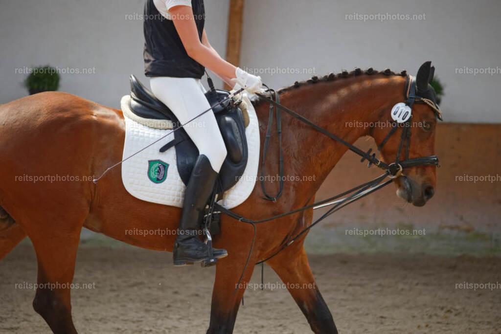 JHE_5262 | JoYa Fotografie - Realisiert mit Pictrs.com