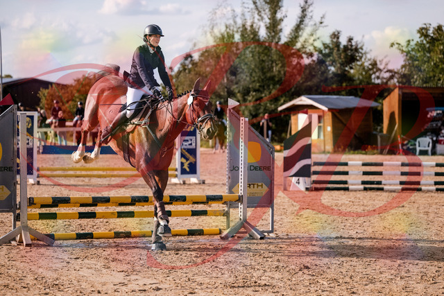 2026_10_03_Siefer-Hof_155538_Z81_74891555 | Professionelle Reitsport-, Turnier- und Eventfotografie von Robert Broda. Galerien mit ausgewählten und bearbeiteten Bildern direkt online ansehen und bestellen.