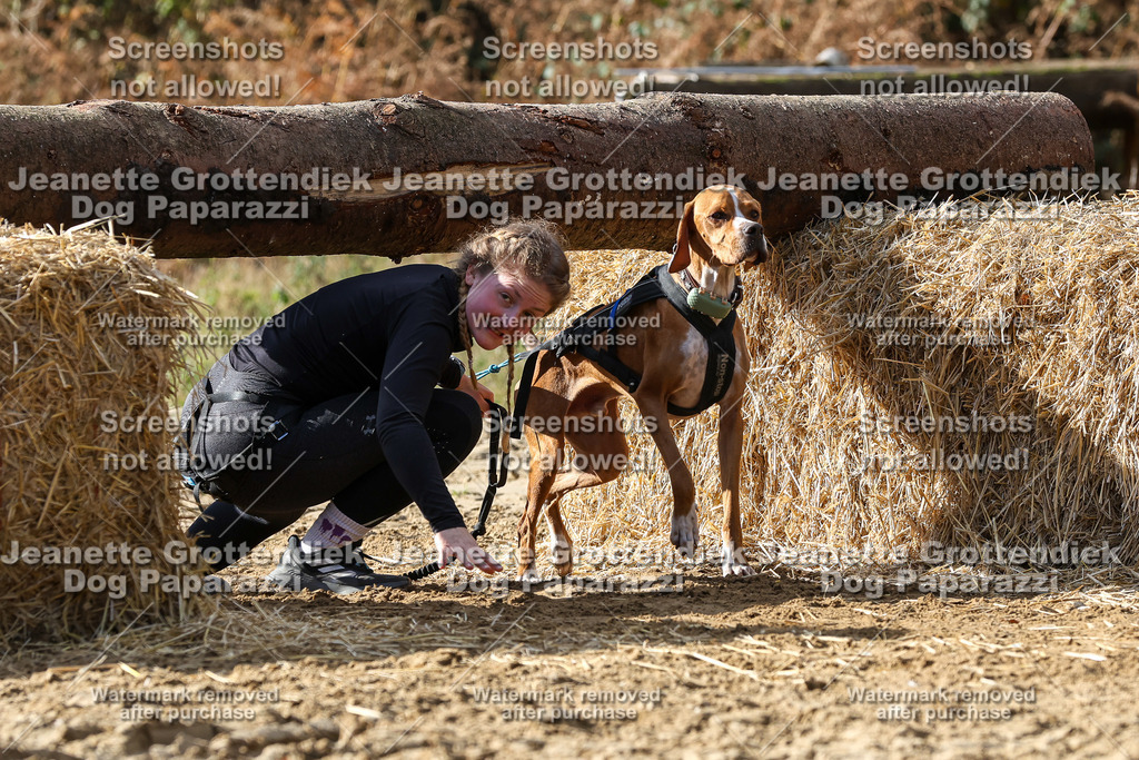 Dog Paparazzi - Strongdog 10-25-5209 | Dog Paparazzi Jeanette Grottendiek Fotografie & Videografie - Realisiert mit Pictrs.com
